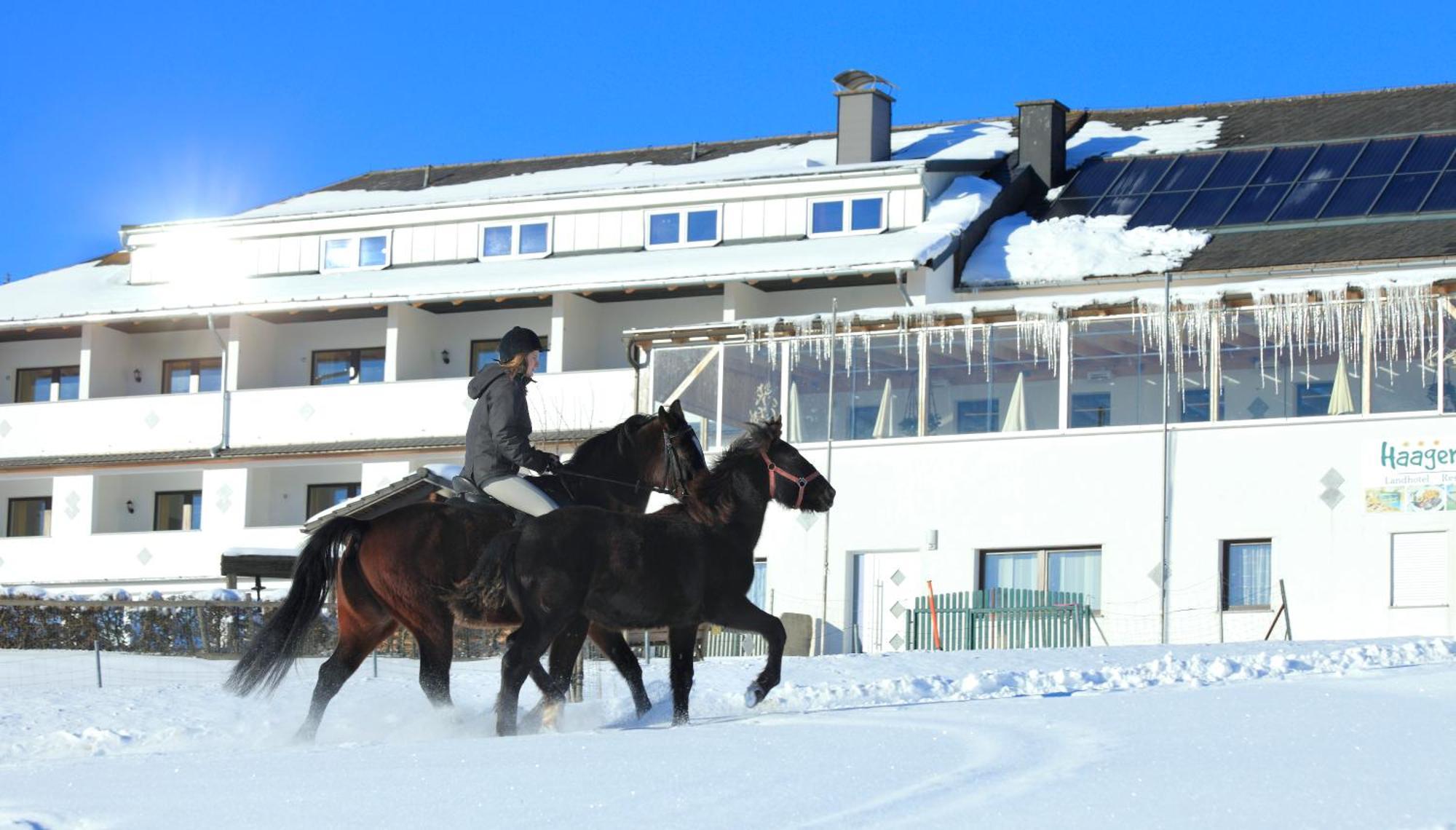 Landhotel Haagerhof Aigen im Muehlkreis Екстер'єр фото