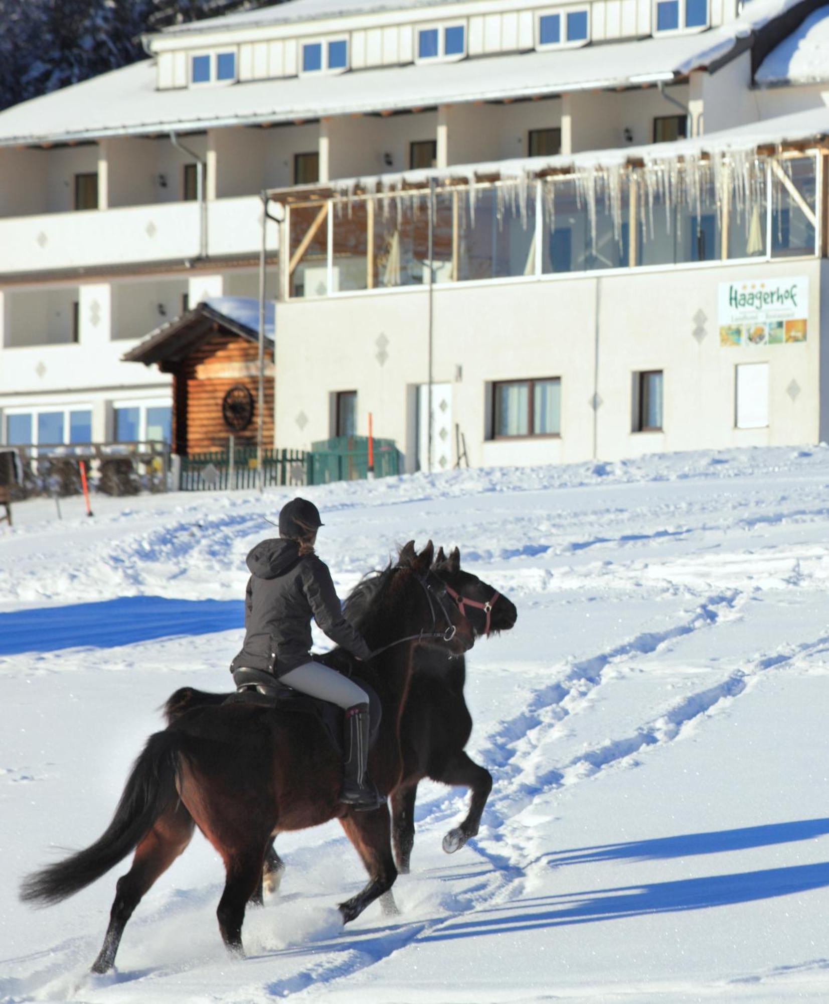 Landhotel Haagerhof Aigen im Muehlkreis Екстер'єр фото