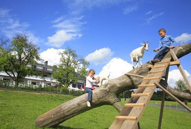 Landhotel Haagerhof Aigen im Muehlkreis Екстер'єр фото