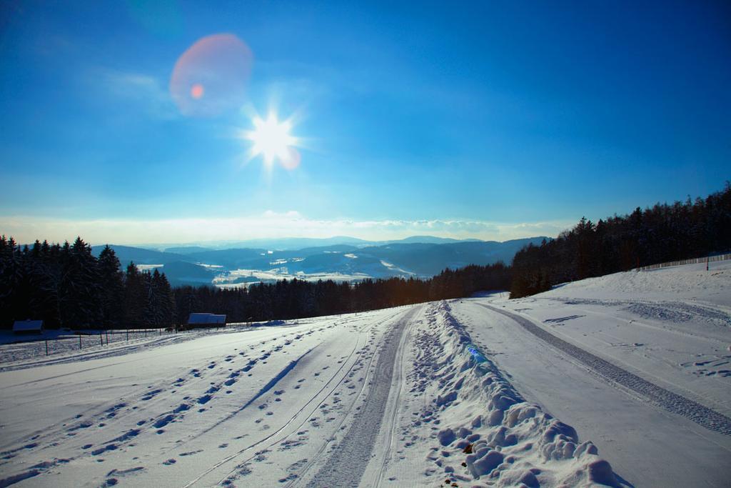 Landhotel Haagerhof Aigen im Muehlkreis Екстер'єр фото