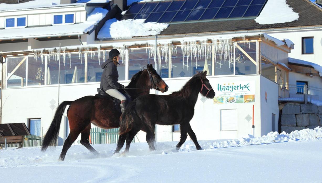 Landhotel Haagerhof Aigen im Muehlkreis Екстер'єр фото